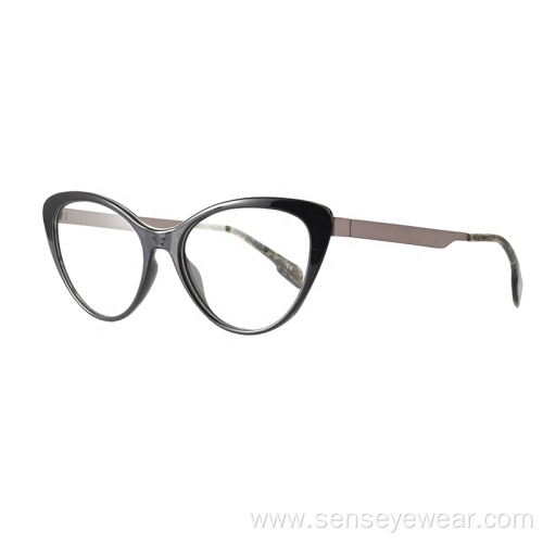 TR90 Metal Mixed Stainless Steel Glasses Frame Eyeglass